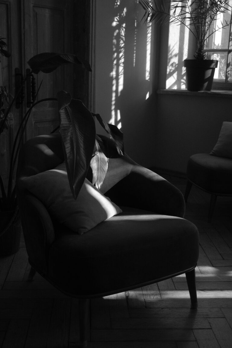 Avocat violences conjugales consultation victime Lyon