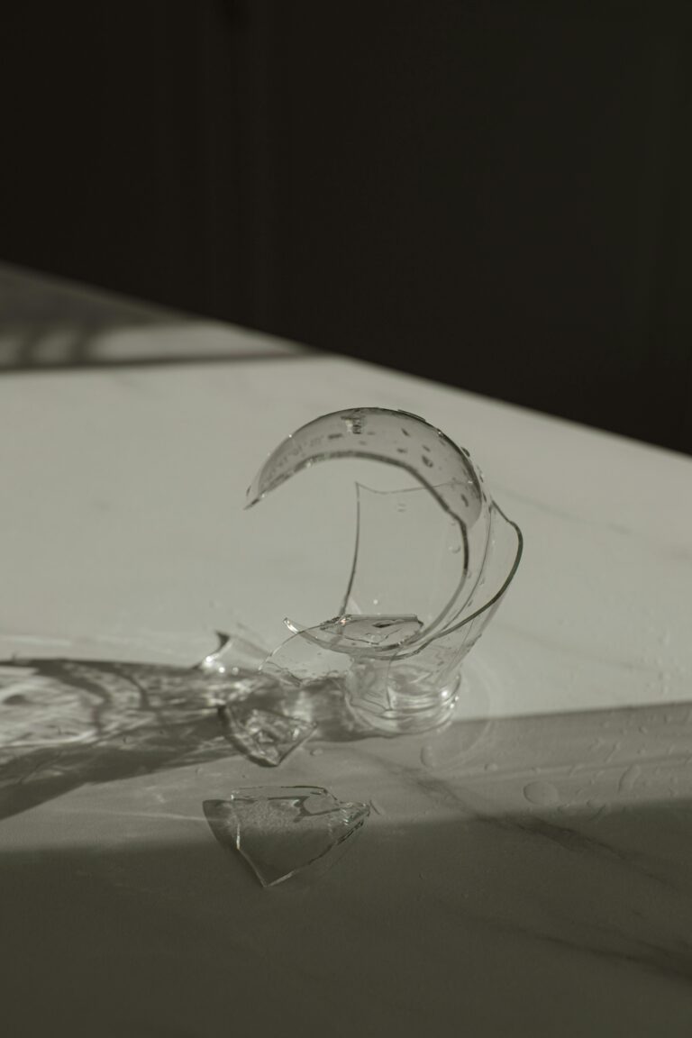 Avocat accident de la vie consultation victime accident domestique Lyon